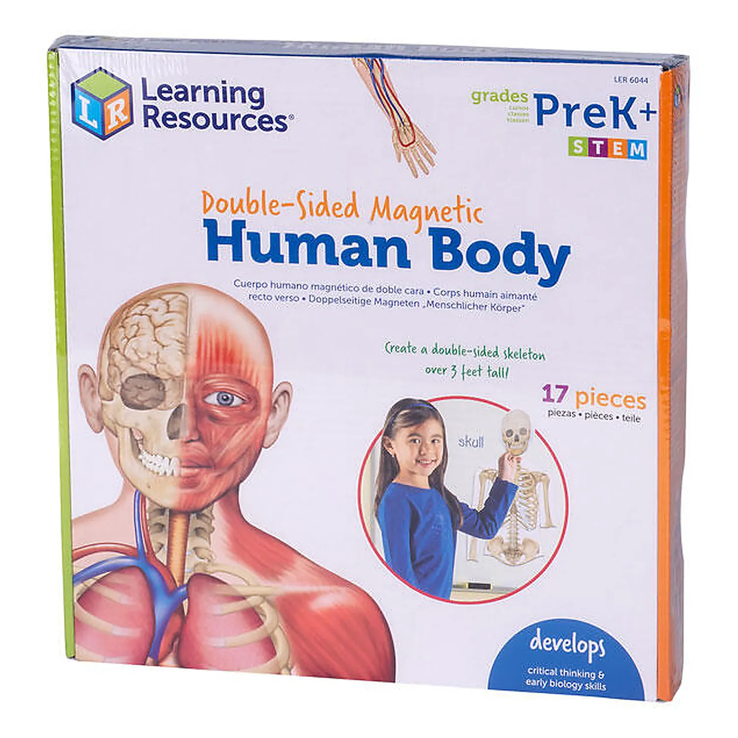 Jucarii educative - Corpul uman - set magnetic