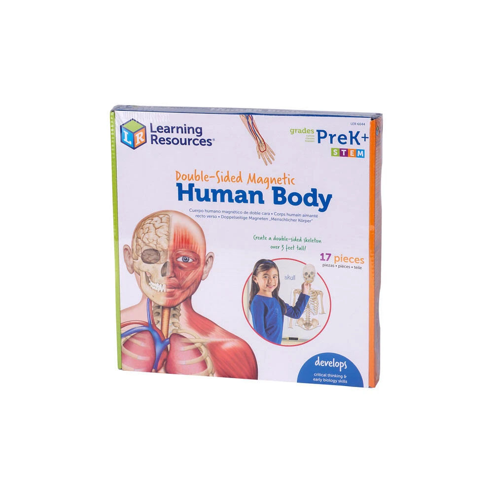 Jucarii - Corpul uman - set magnetic