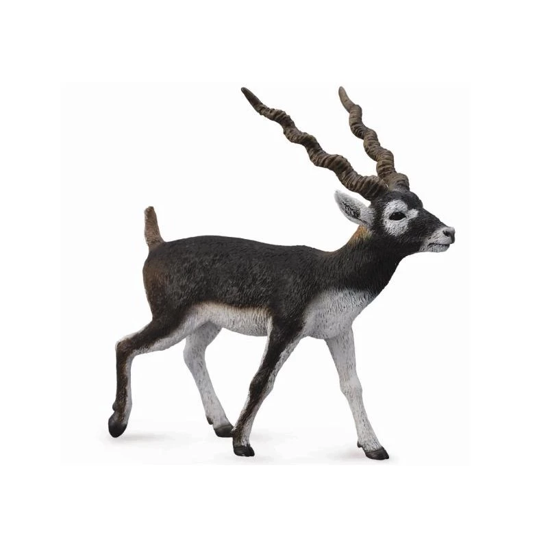 Jucarii - Figurina Antilopa Blackbuck