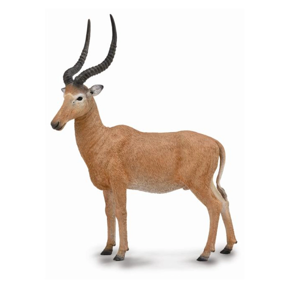 Animale salbatice - Figurina Antilopa Hirola L