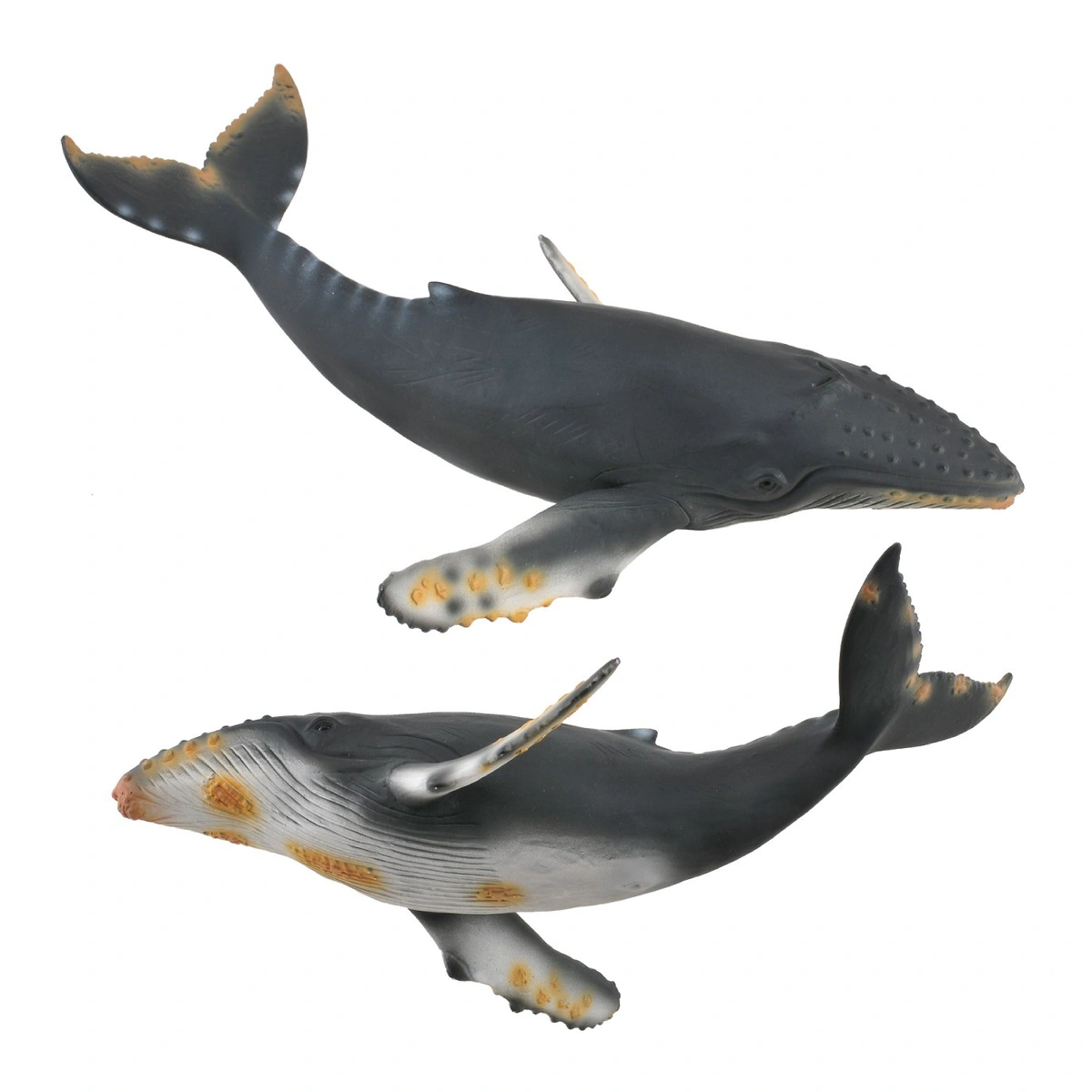 Ocean si gheata - Figurina Balena cu cocoasa