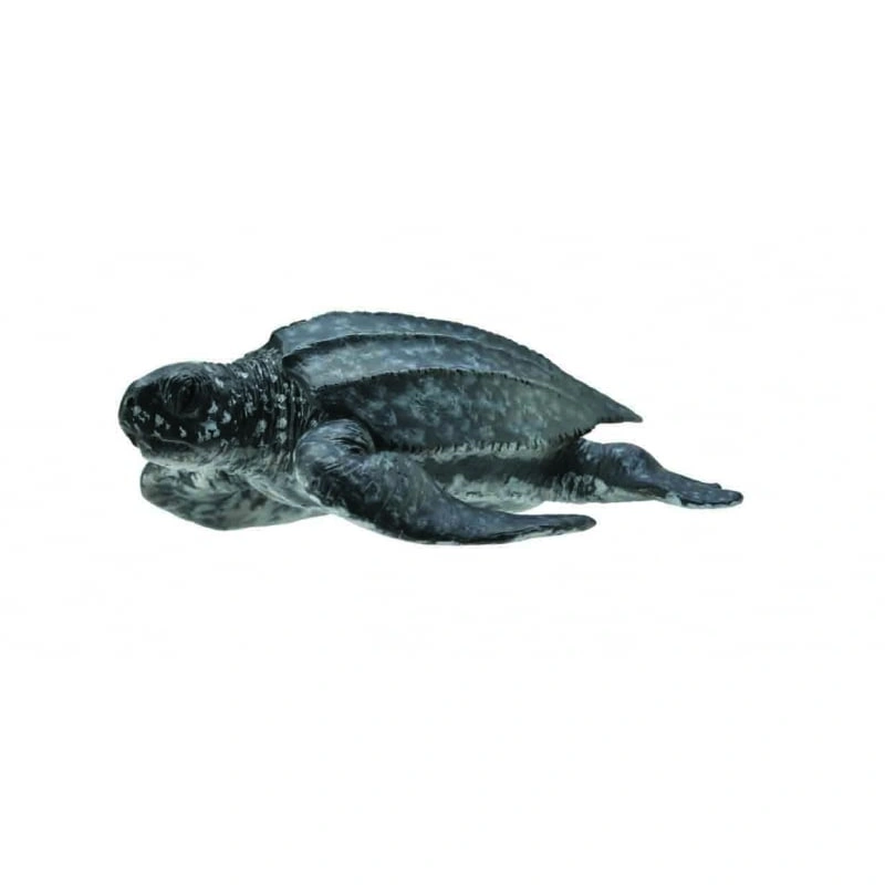 Jucarii - Figurina Broasca Testoasa de Mare M