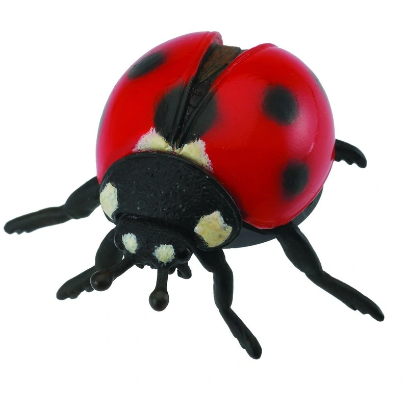Insecte si paianjeni - Figurina Buburuza