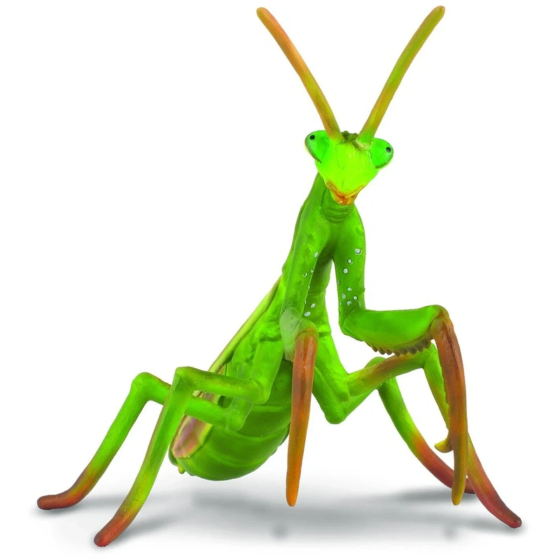 Insecte si paianjeni - Figurina Calugarita