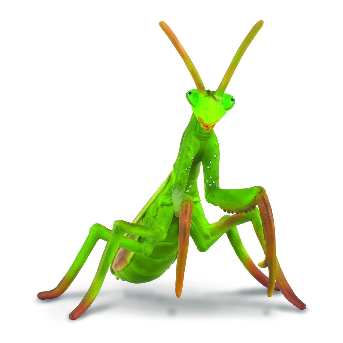 Insecte si paianjeni - Figurina Calugarita