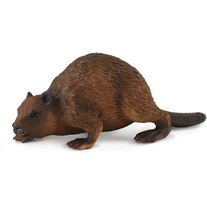 Animale salbatice - Figurina Castor