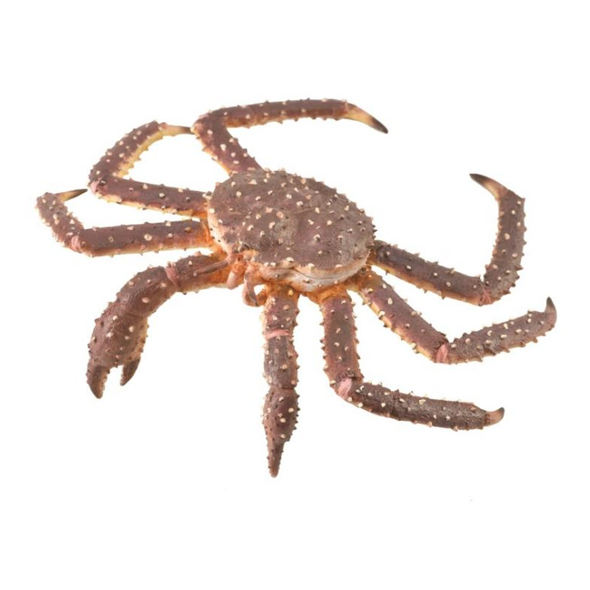 Ocean si gheata - Figurina Crab Regal XL