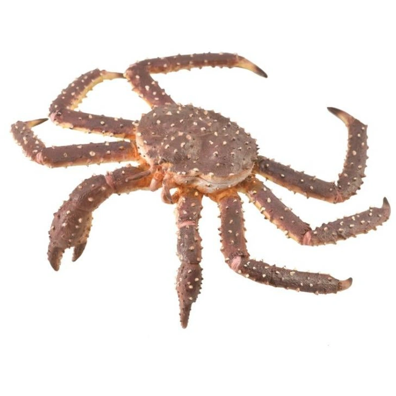 Jucarii - Figurina Crab Regal XL