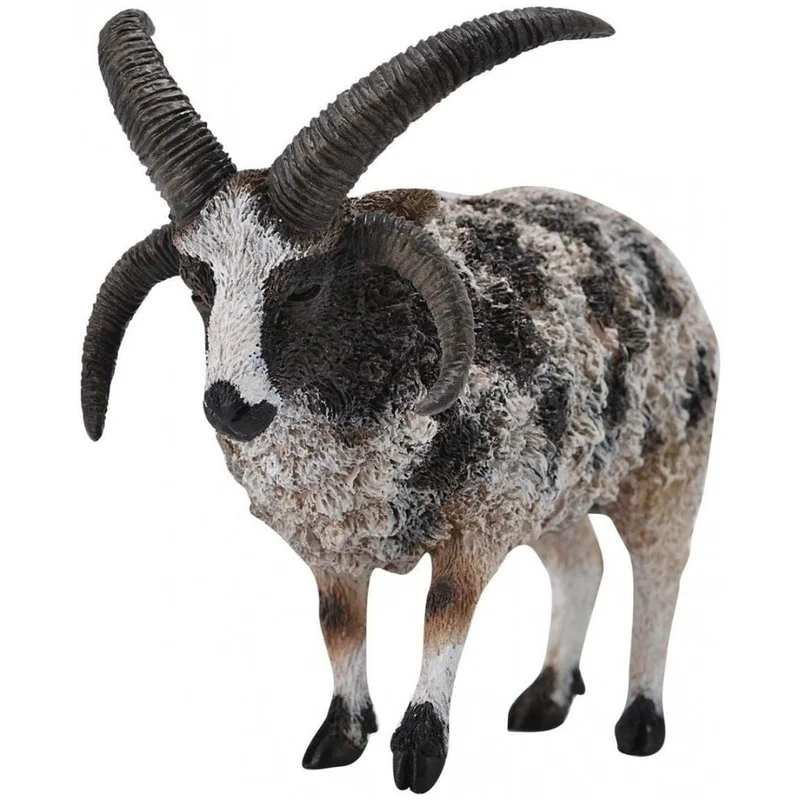 Figurina Jacob Sheep L [1]
