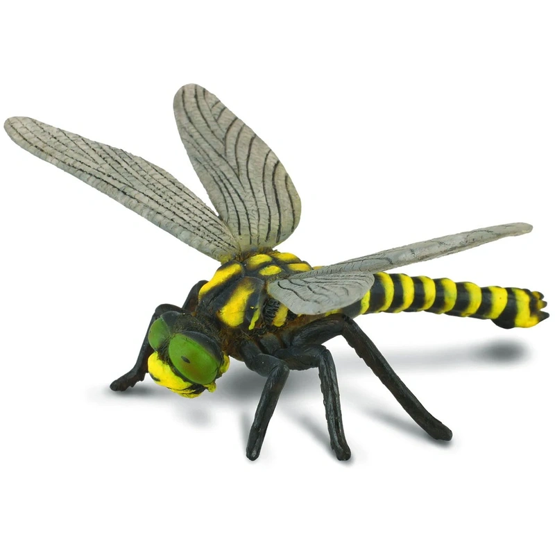 Insecte si paianjeni - Figurina Libelula