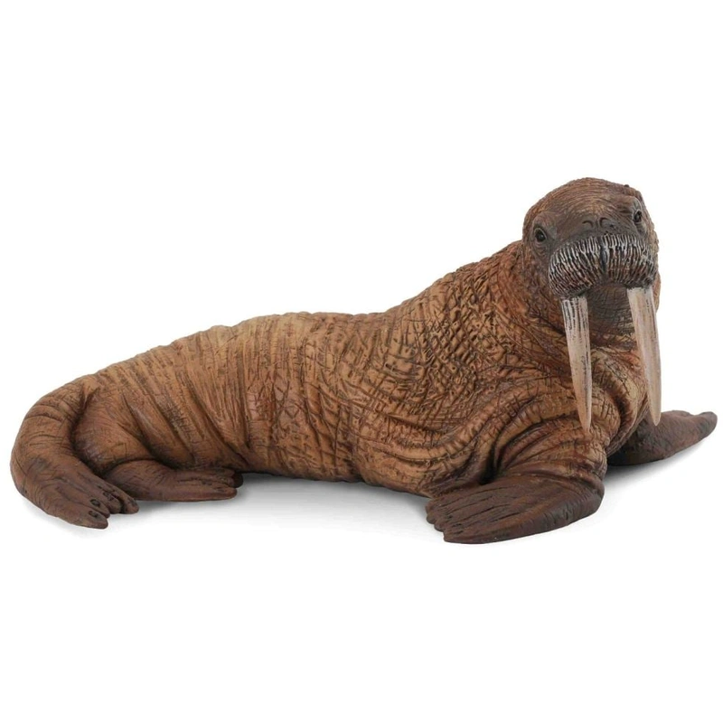 Ocean si gheata - Figurina Morsa L