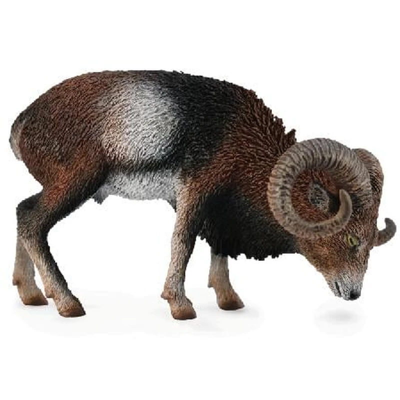 Jucarii - Figurina Muflon European L