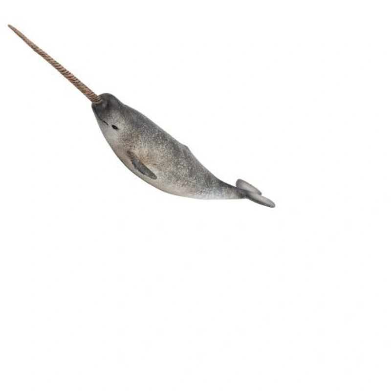 Ocean si gheata - Figurina Narwhal XL