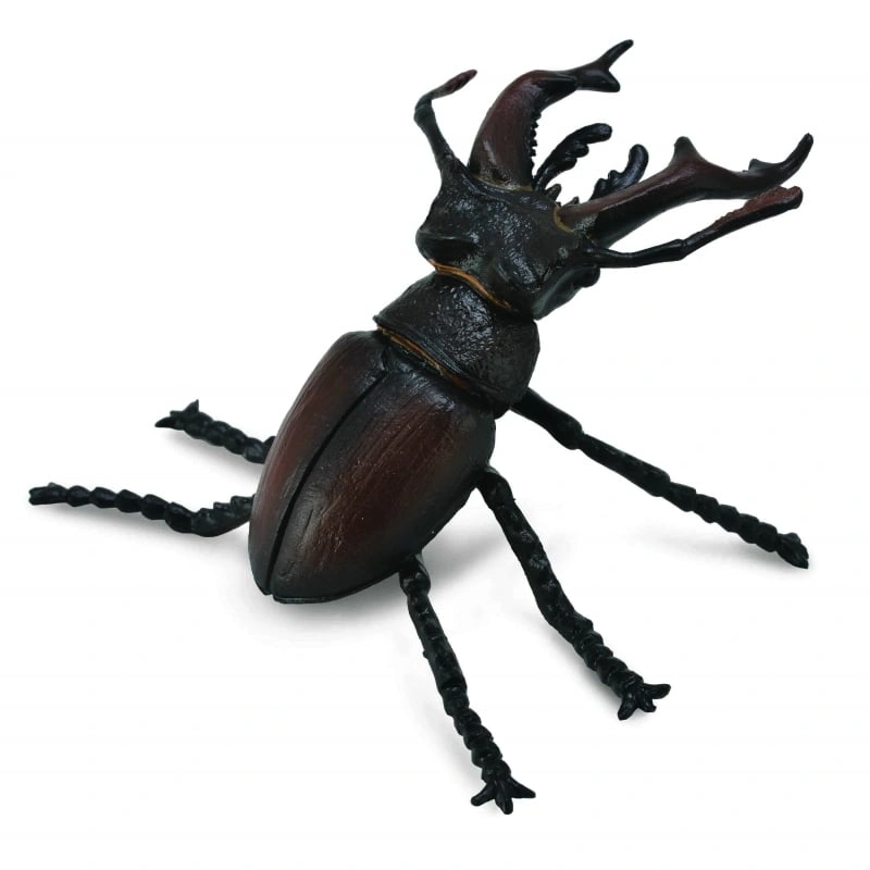 Insecte si paianjeni - Figurina Radasca Mascul M