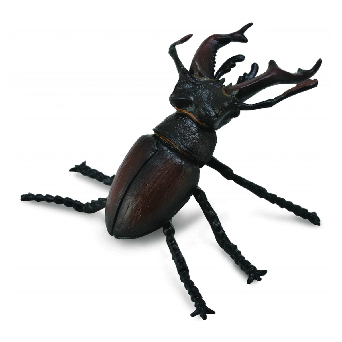 Insecte si paianjeni - Figurina Radasca Mascul M