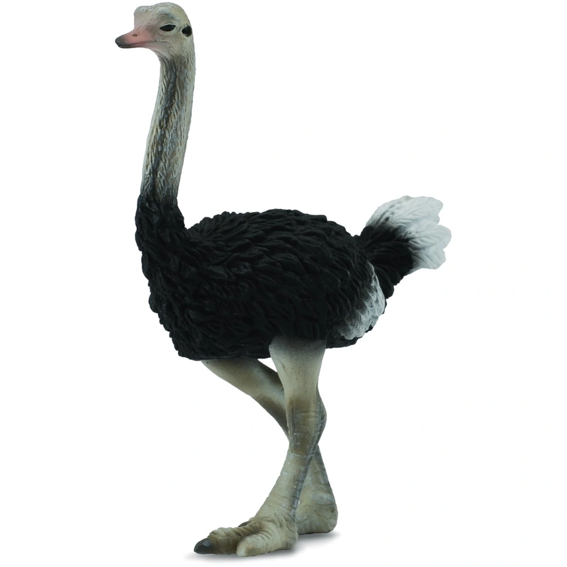 Animale salbatice - Figurina Strut L