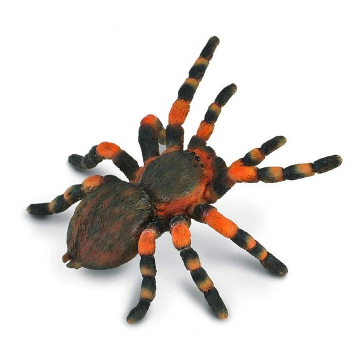 Insecte si paianjeni - Figurina Tarantula Mexicana cu genunchi rosii