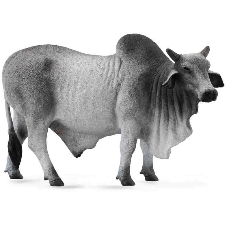 Viata la ferma - Figurina Taur Brahman L