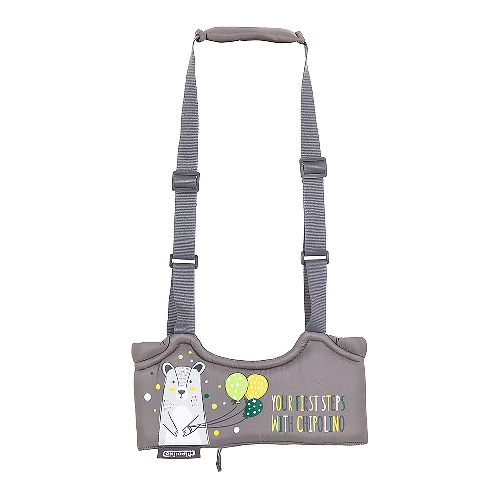 Marsupii si hamuri - Ham pentru copii Chipolino 1st Steps glacier