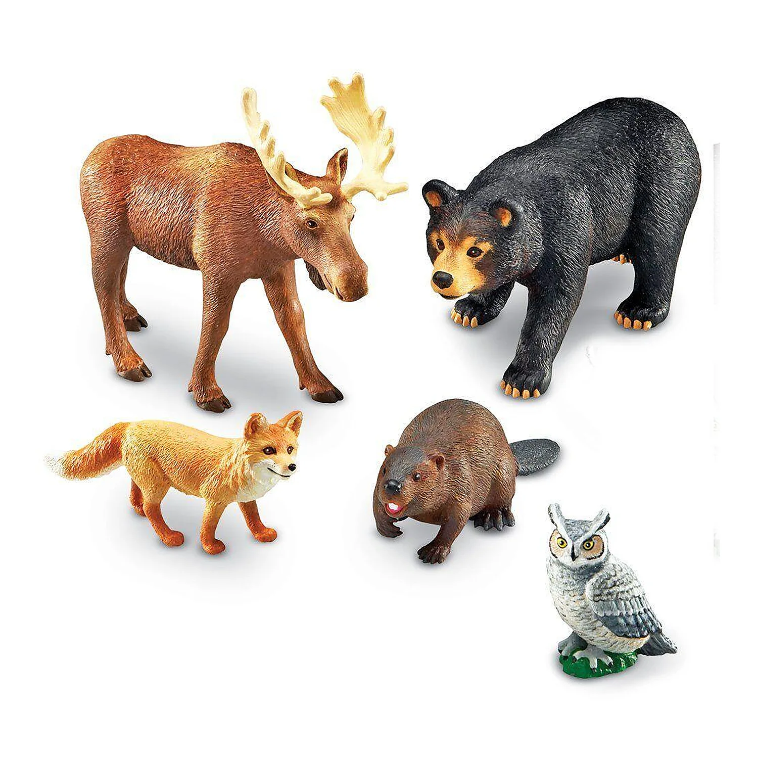 Animale salbatice - Joc de rol - Animalute din padure