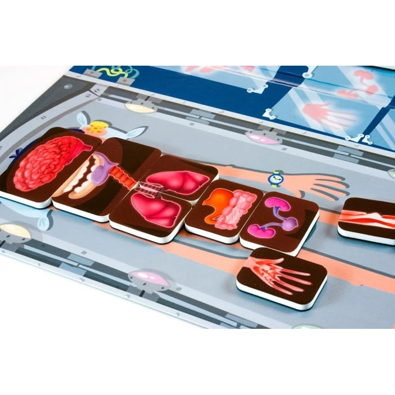 Joc magnetic Descopera corpul uman - Miniland [4]