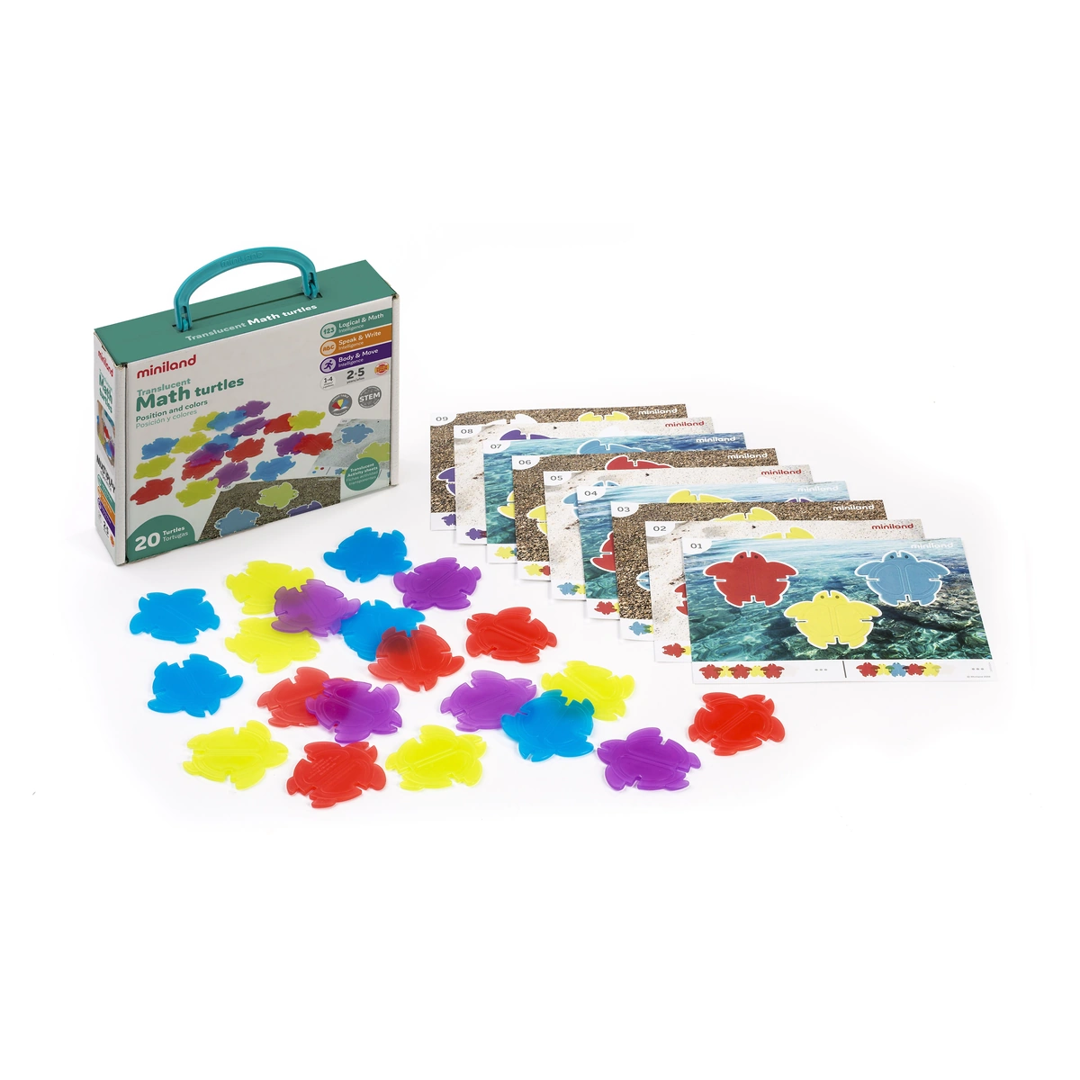 Jocuri de memorie - Joc Testoasele matematice translucide