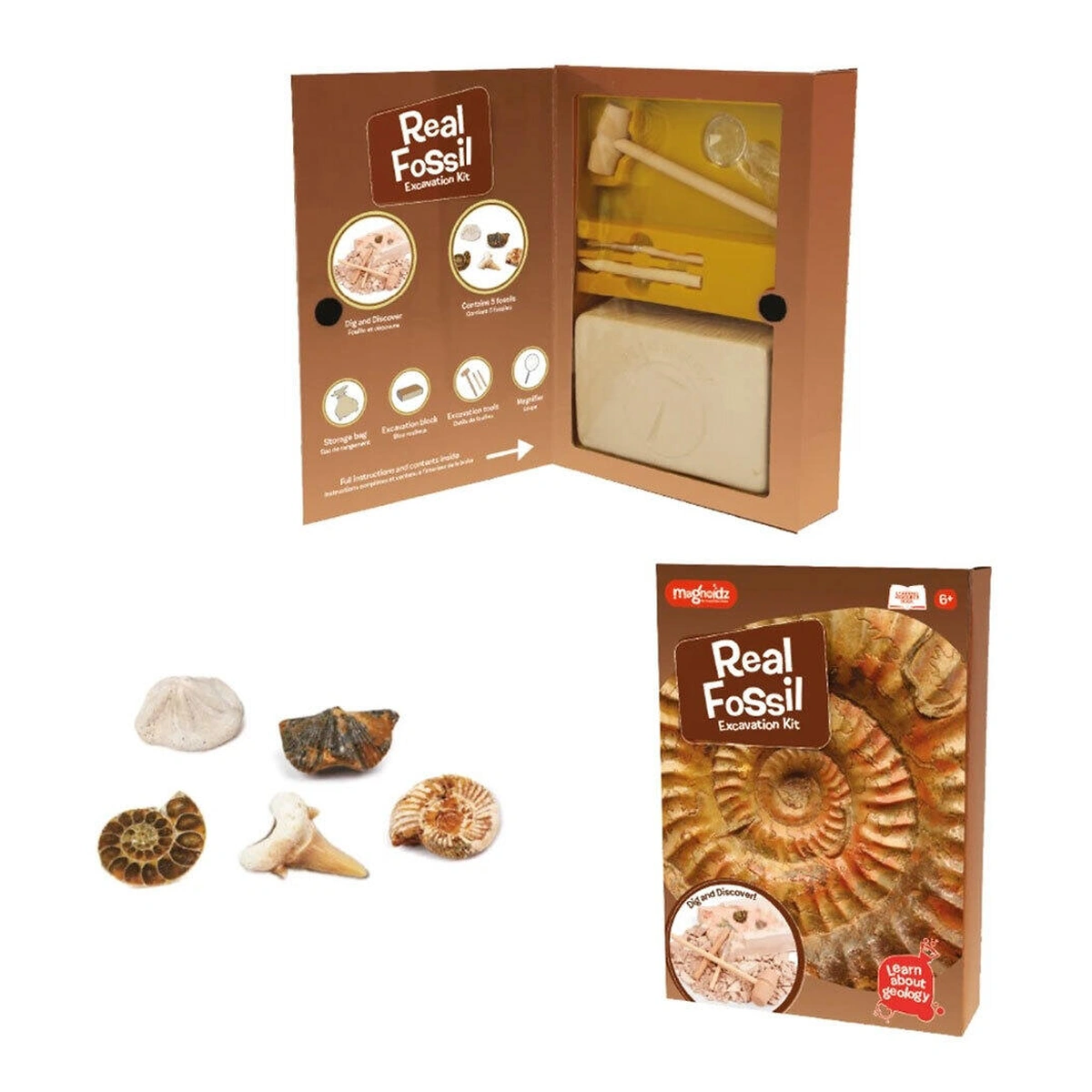 Jucarii educative - Kit paleontologie - Descopera fosile