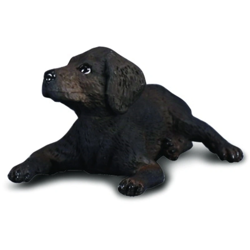 Viata la ferma - Labrador Retriever Pui S