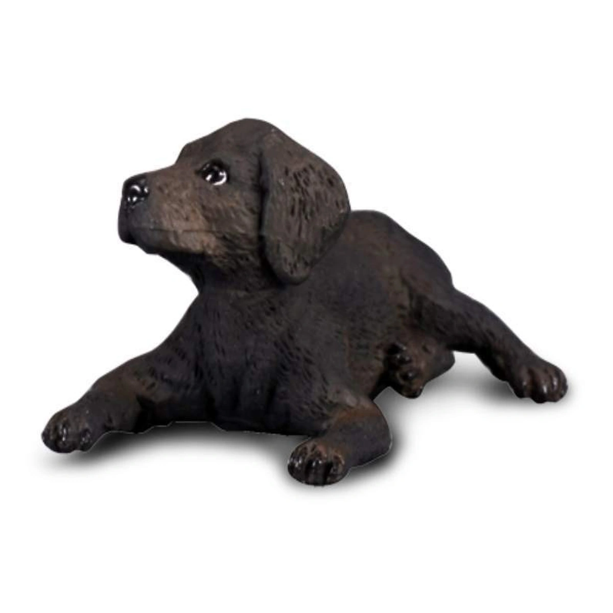 Viata la ferma - Labrador Retriever Pui S