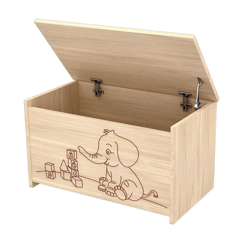 Lada de depozitare Eva natur [1]