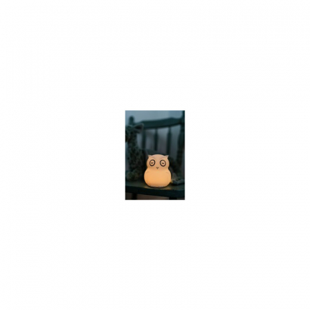 Lampa de veghe, BBluv, Bufnita, Hibu, Functionare pana la 10 ore, Cu telecomanda si cablu USB, 9 culori, White [19]