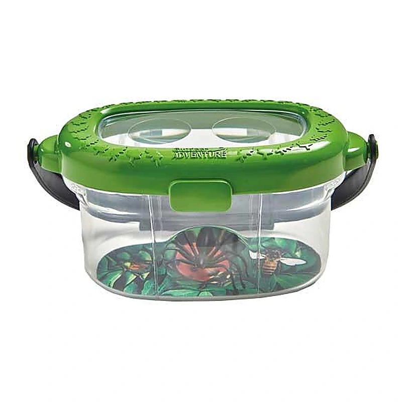 Observatorul pentru insecte Brainstorm 3 ani [1]