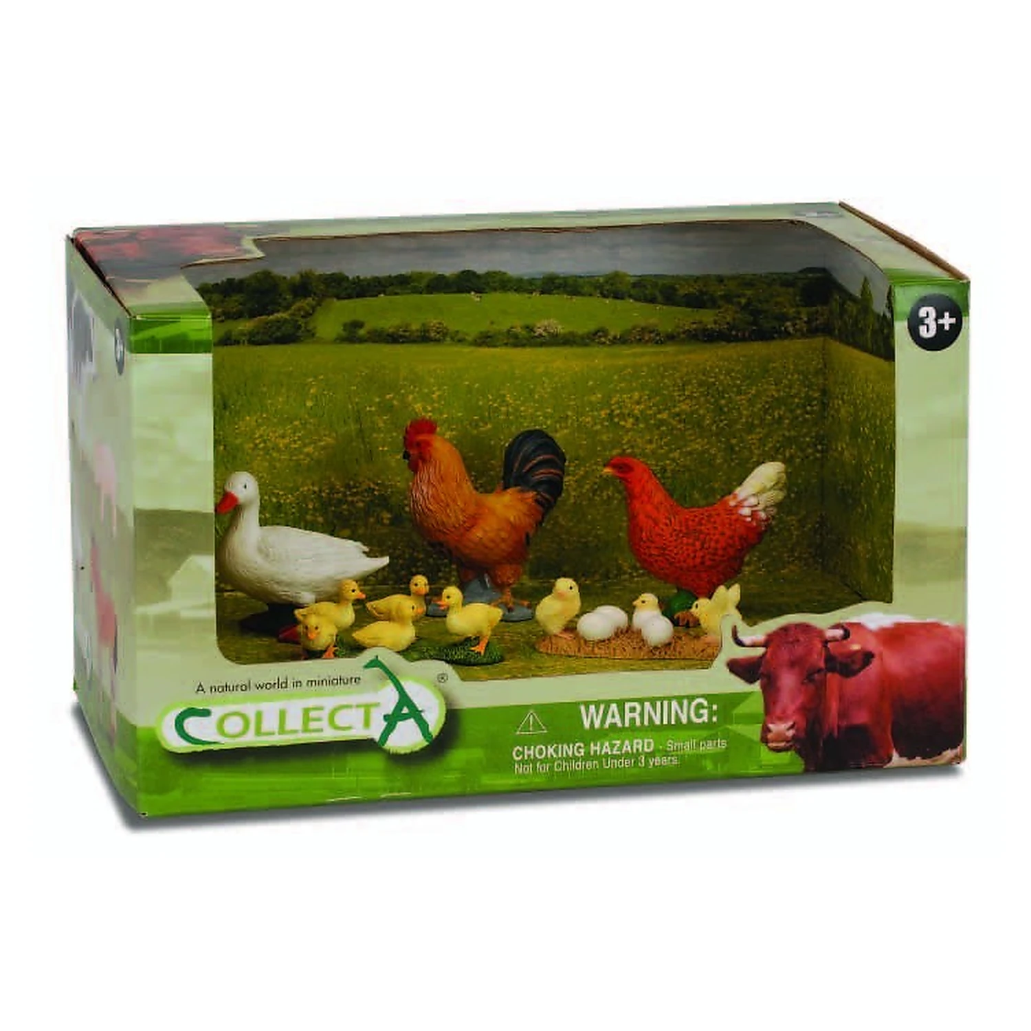 Set figurine - Set 5 Figurine Viata la tara