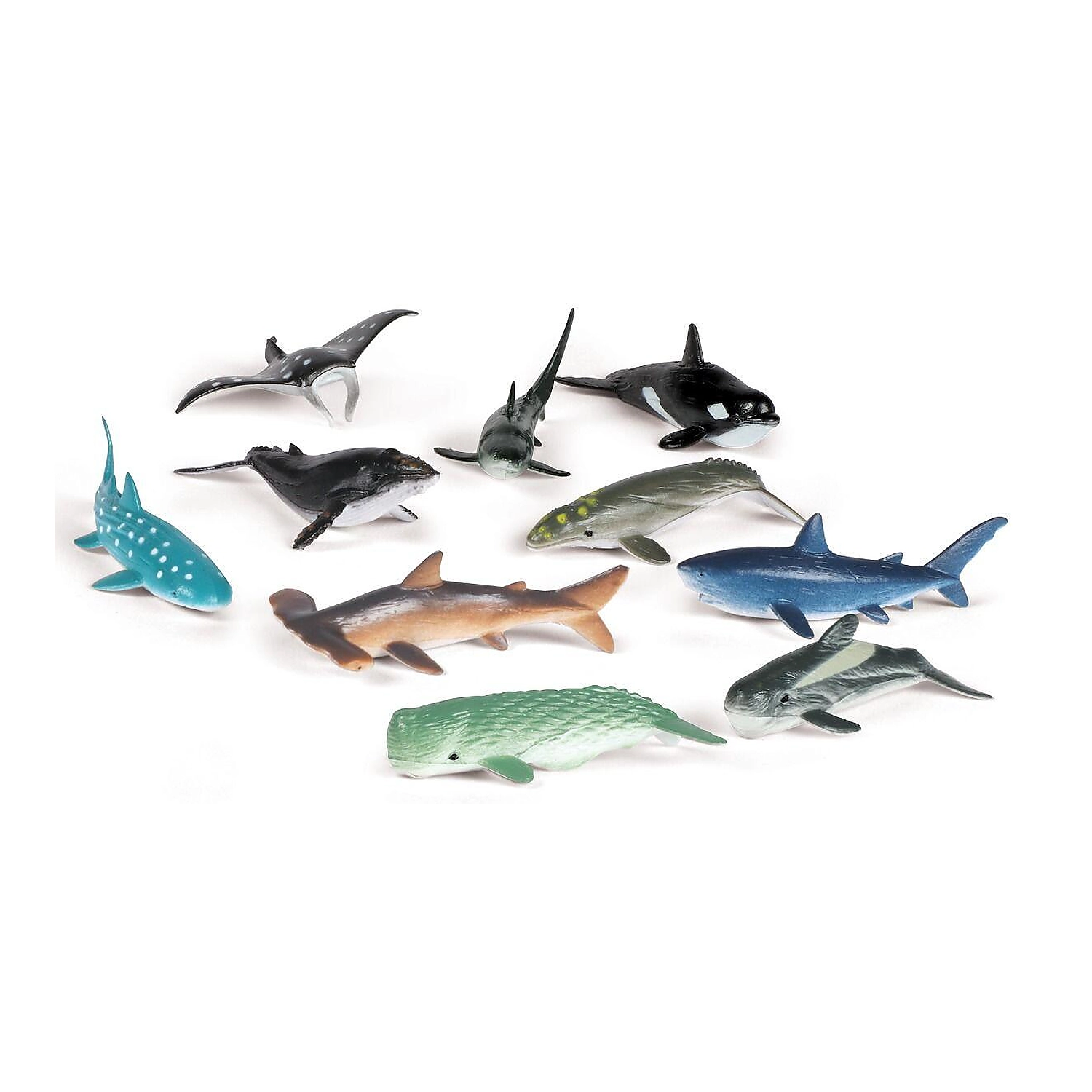 Litere, limbaj, cifre - Set de sortat - Animalute din ocean