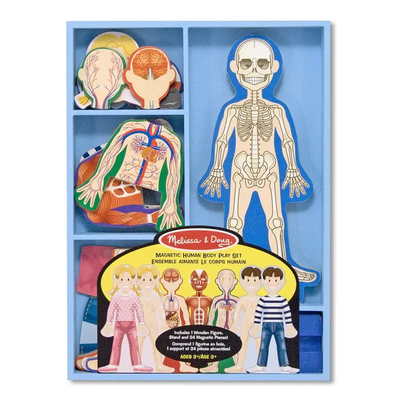 Jucarii din lemn - Set magnetic Corpul Uman Melissa and Doug