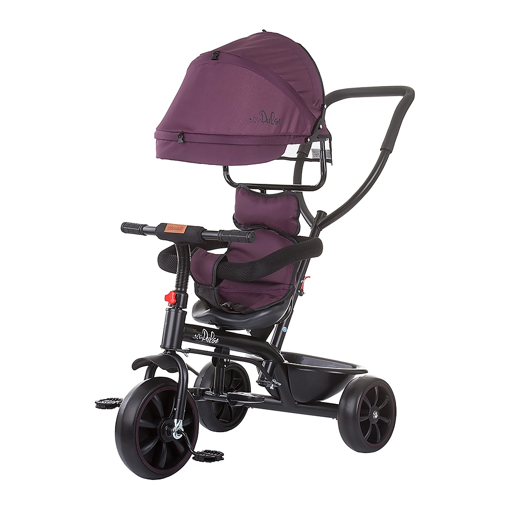 Triciclete - Tricicleta Chipolino Pulse lilac