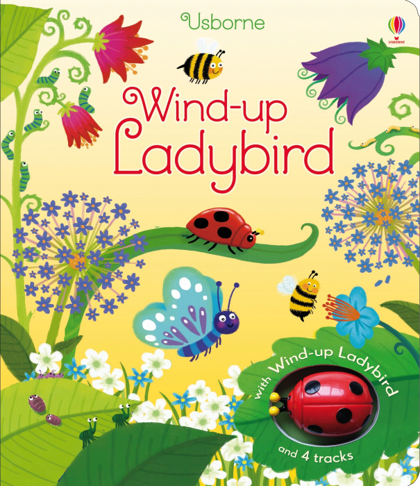 Wind-up Ladybird carte cu jucărie cu cheita [1]
