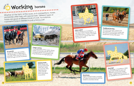 Horses and Ponies Ultimate Sticker Book [2]