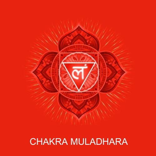 chakra muladhara - simbol