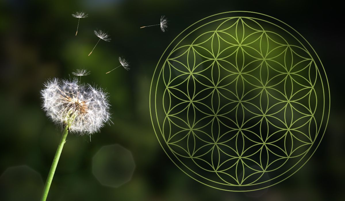 Floarea Vieții – Simbol sacru cu semnificație profundă și beneficii care îți pot schimba viața