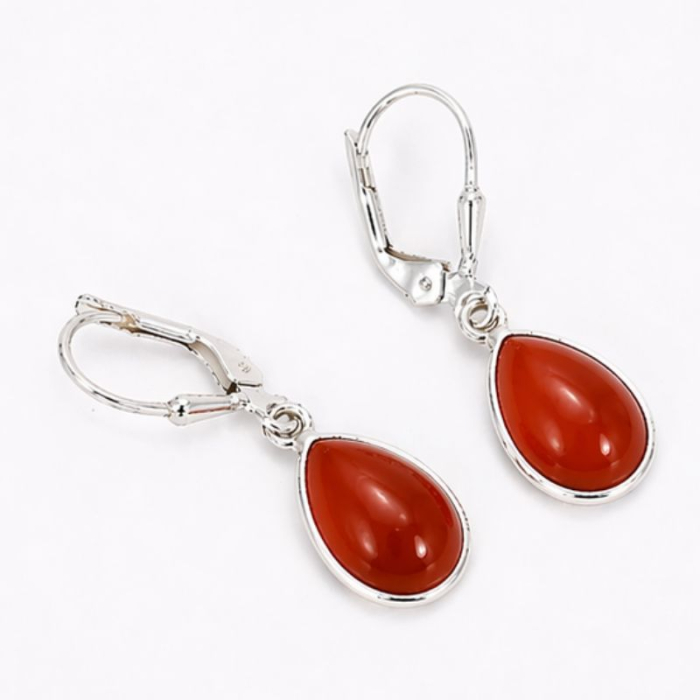 Cercei argint cu carneol, tortita leverback [3]