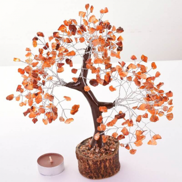 copac-feng-shui-300-pietre-semipretioase-carneol [2]