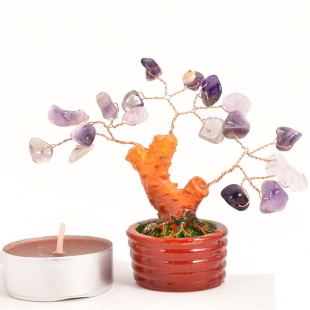 copacel-feng-shui-cu-cristale-de-ametist [0]