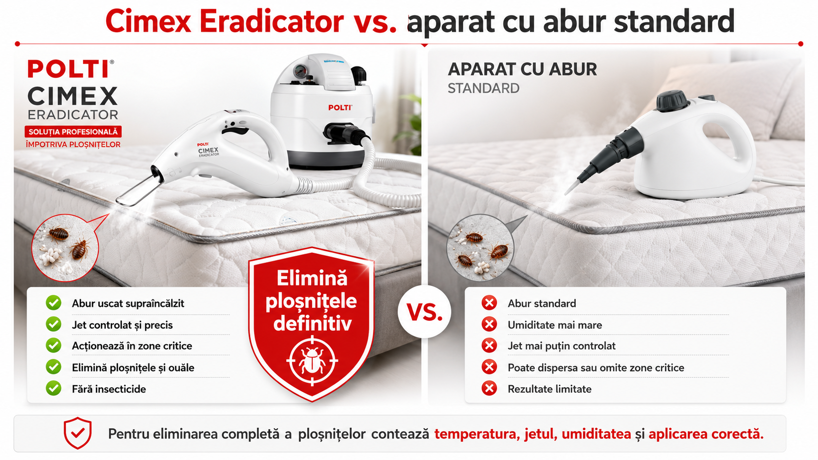 Cum scap de ploșnițe cu ajutorul aburului?
