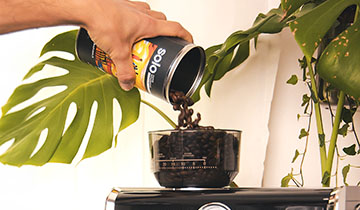 cialde ese SOLO della tipologia 100% Robusta Naturale