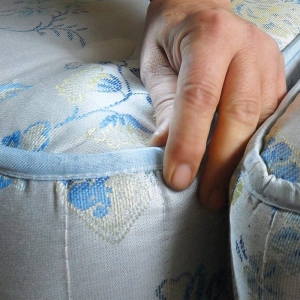 Cum scap de plosnite cu cimex eradicator polti [5]