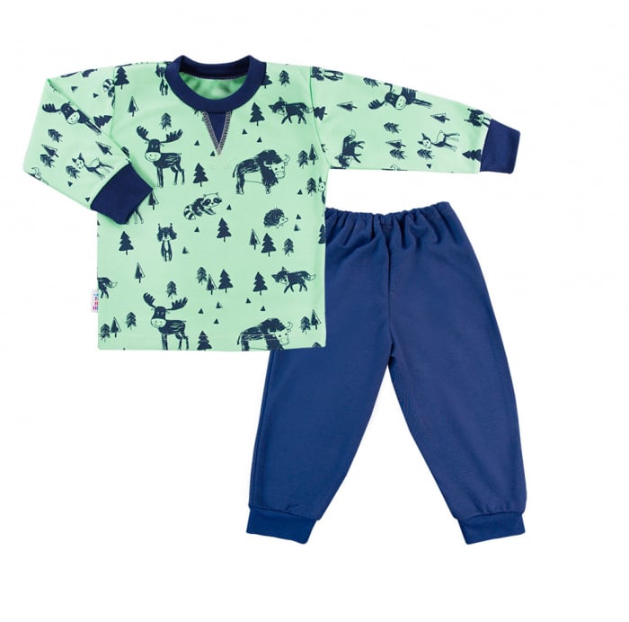 Pijama doua piese, bumbac 100%, Verde/Albastru, Trip [1]