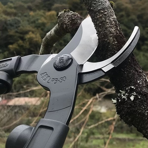 Foarfeca profesionala pentru crengi ARS Japonia LPB-30M, marime M [3]