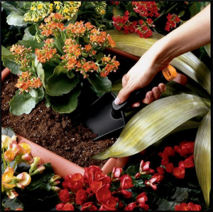Plantator Fiskars Solid [2]