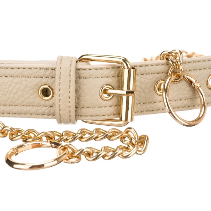 Geantă elegantă de damă din piele ecologică tip borseta - Peterson PTR-PTN MIS-06-2003 BEIG [11]